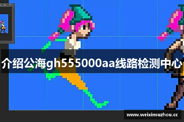 介绍公海gh555000aa线路检测中心